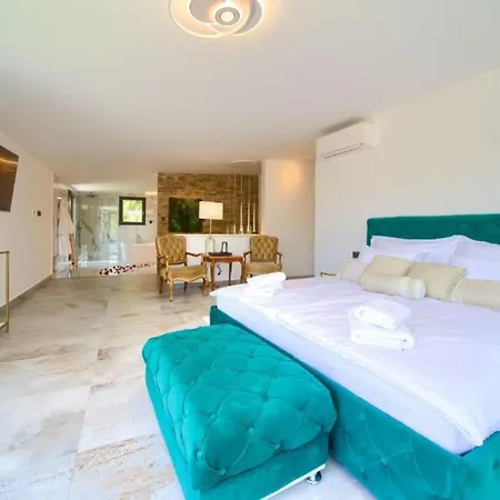 Wellness Villa- Four Bedroom With Swimming Pool *