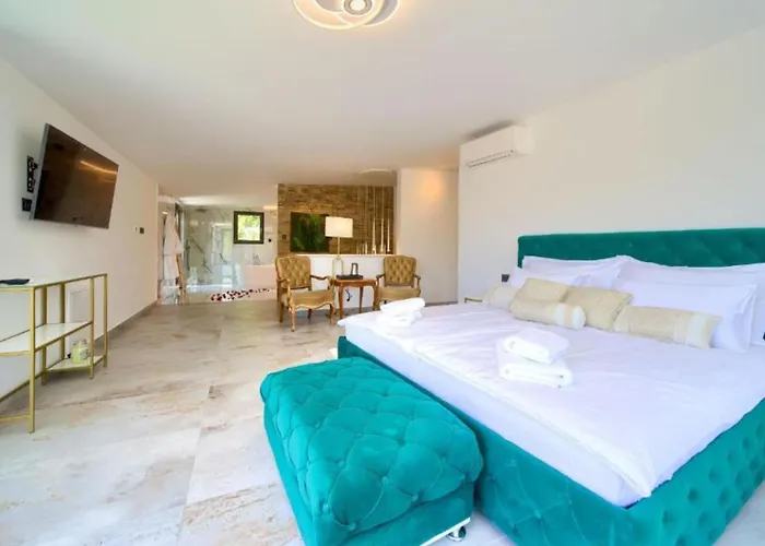 Wellness Villa- Four Bedroom With Swimming Pool *